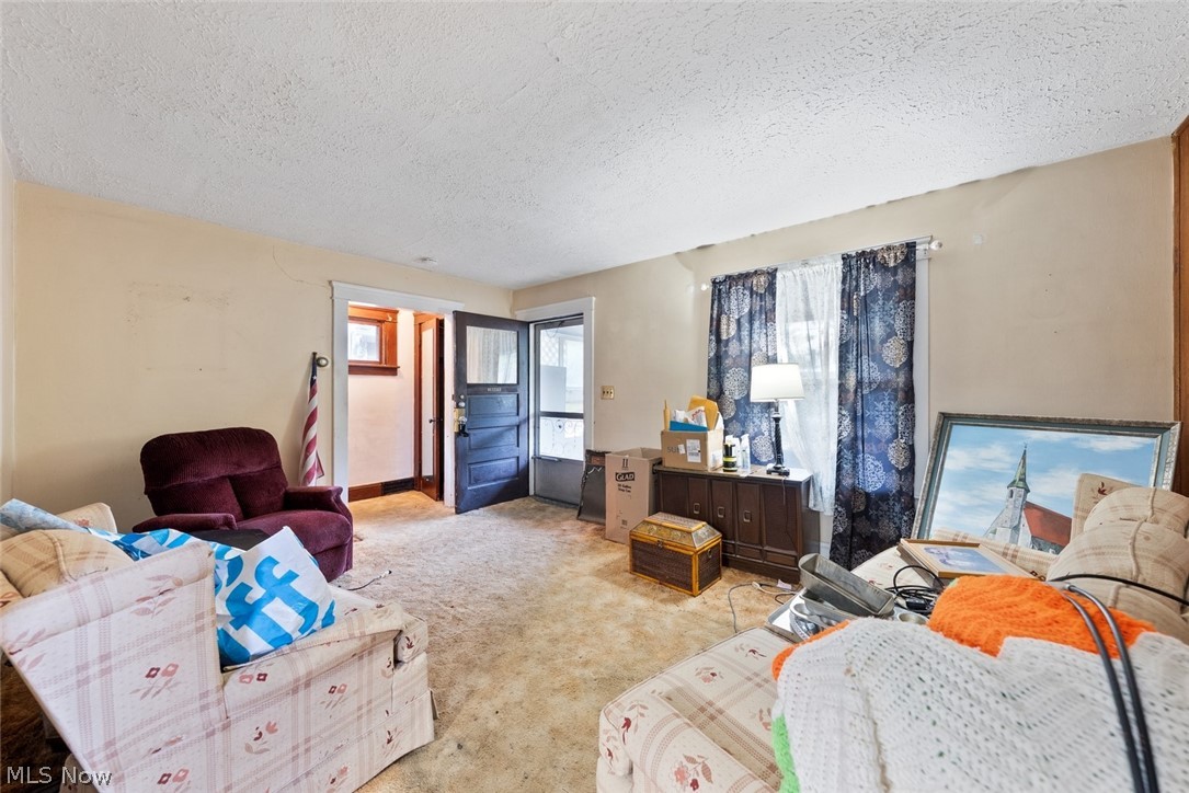 1429 Graber Drive Lakewood OH 44107