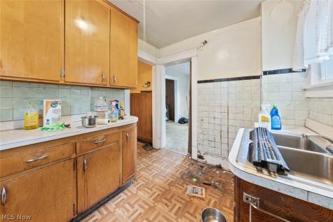 1429 Graber Drive Lakewood OH 44107