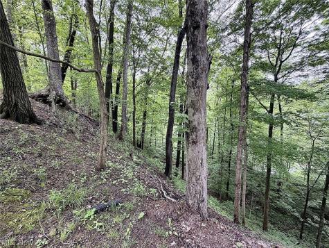 3866 Woodthrush Road Akron OH 44333