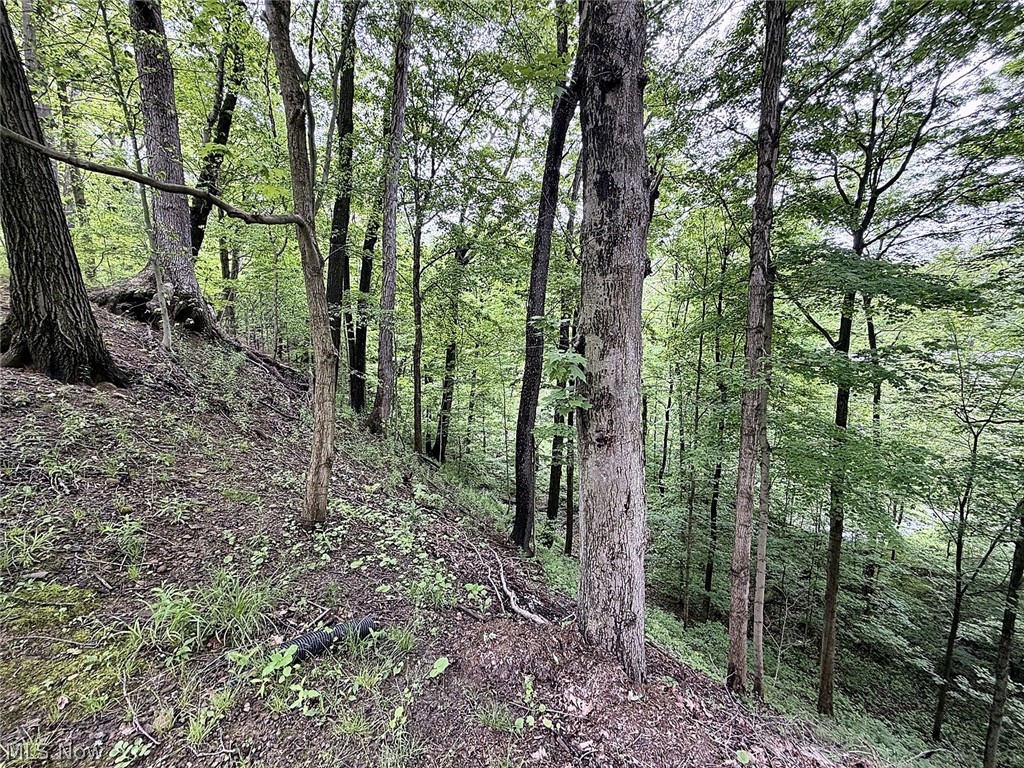 3866 Woodthrush Road Akron OH 44333