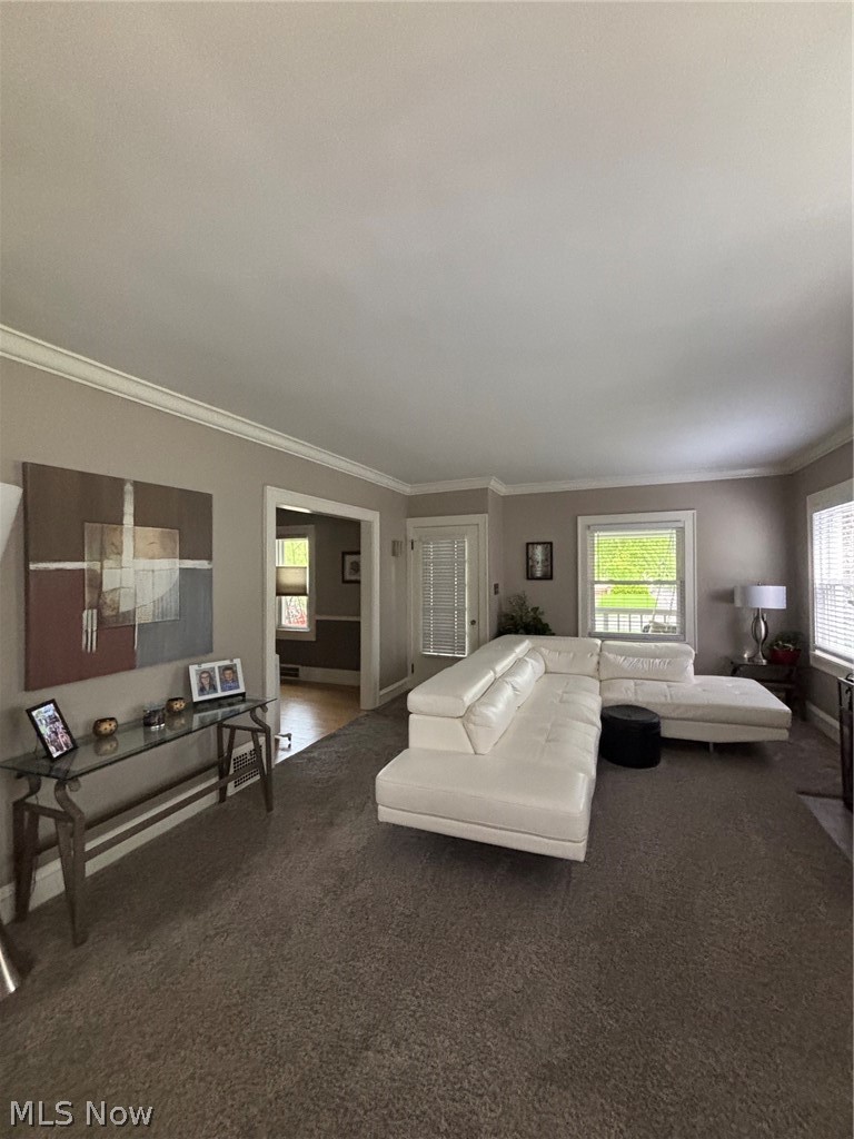 1620 Belle Avenue Lakewood OH 44107