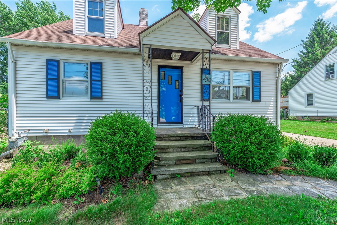 259 Jackson Street Amherst OH 44001