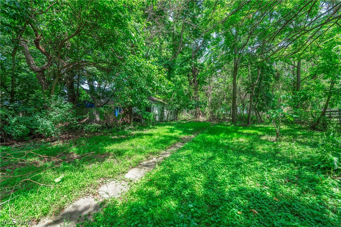 259 Jackson Street Amherst OH 44001