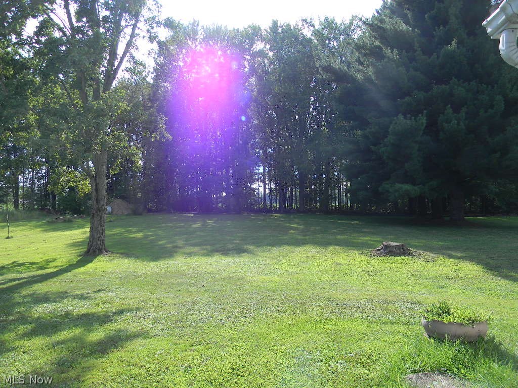 6295 Love Warner Road Cortland OH 44410