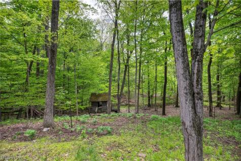 410 Apple Hill Drive N Howard OH 43028