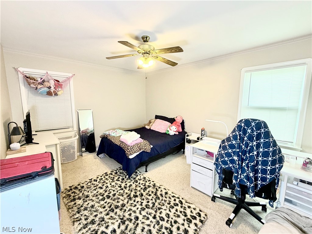 32125 Densmore Road Willowick OH 44095
