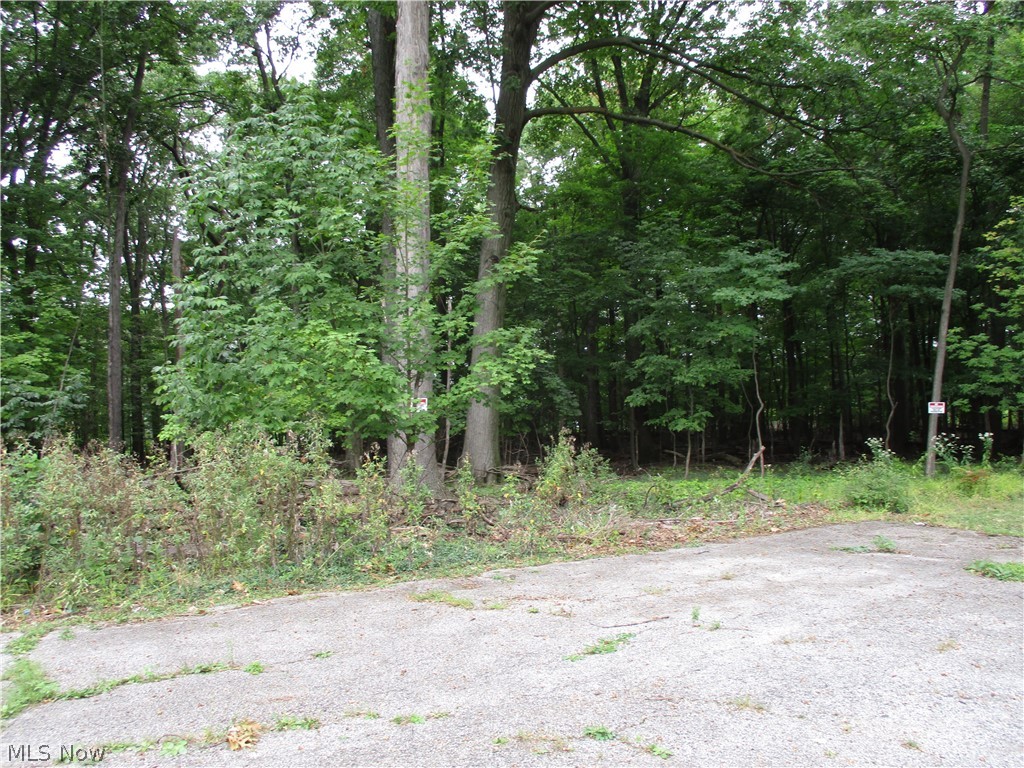 3499 Randolph Road Cleveland Heights OH 44121