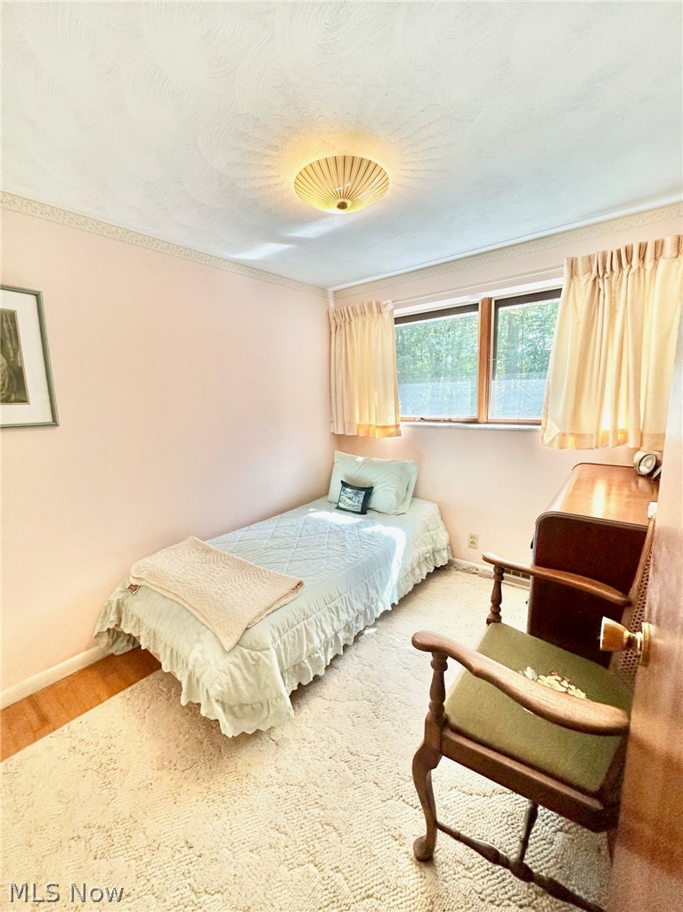186 Bennett Boulevard Wintersville OH 43953
