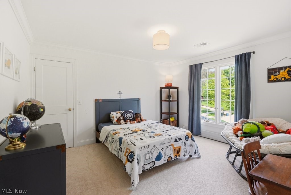 9026 Frost Lane Brecksville OH 44141
