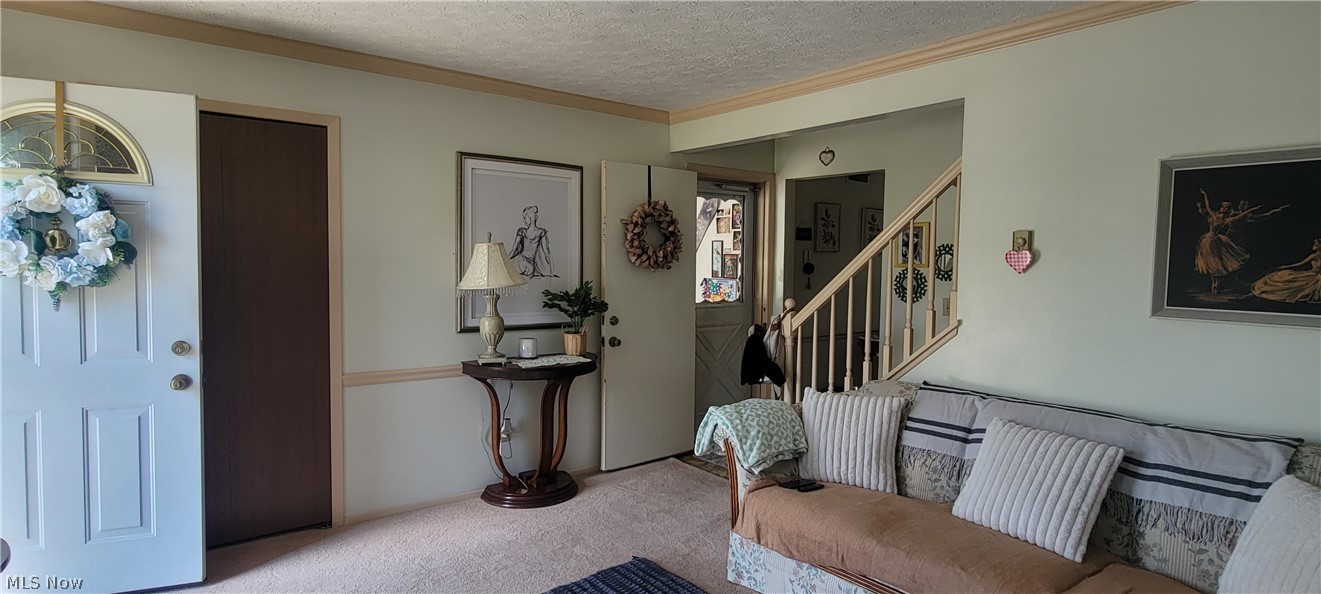 551 Carolyn Drive Brunswick OH 44212