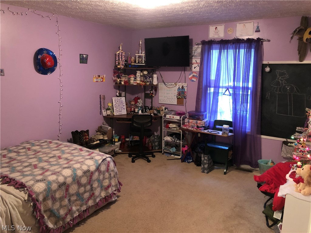78560 Kinsey Orchard (Township Rd 111) Road Freeport OH 43973