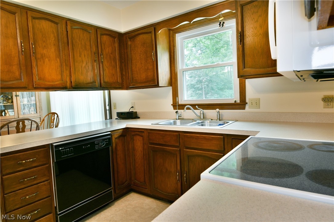 224 Old Oak Drive Cortland OH 44410