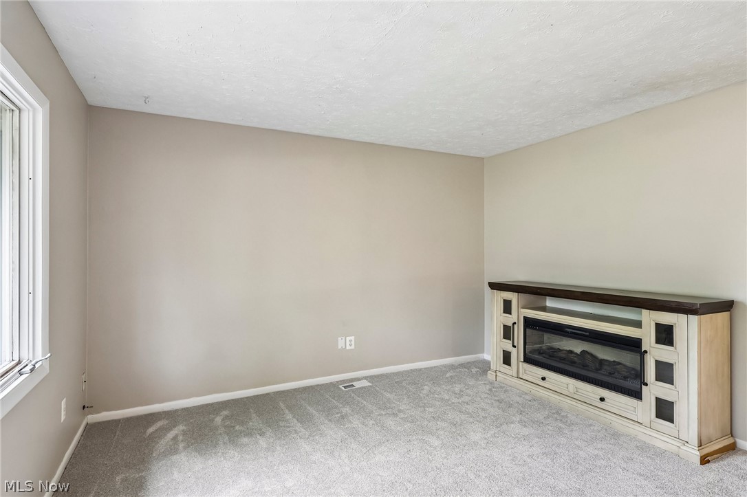 8278 Dallas Drive Mentor OH 44060