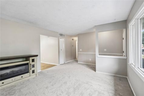 8278 Dallas Drive Mentor OH 44060