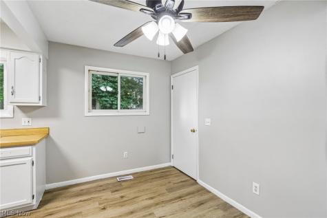 8278 Dallas Drive Mentor OH 44060