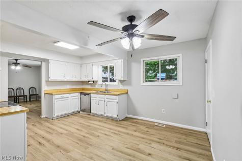8278 Dallas Drive Mentor OH 44060
