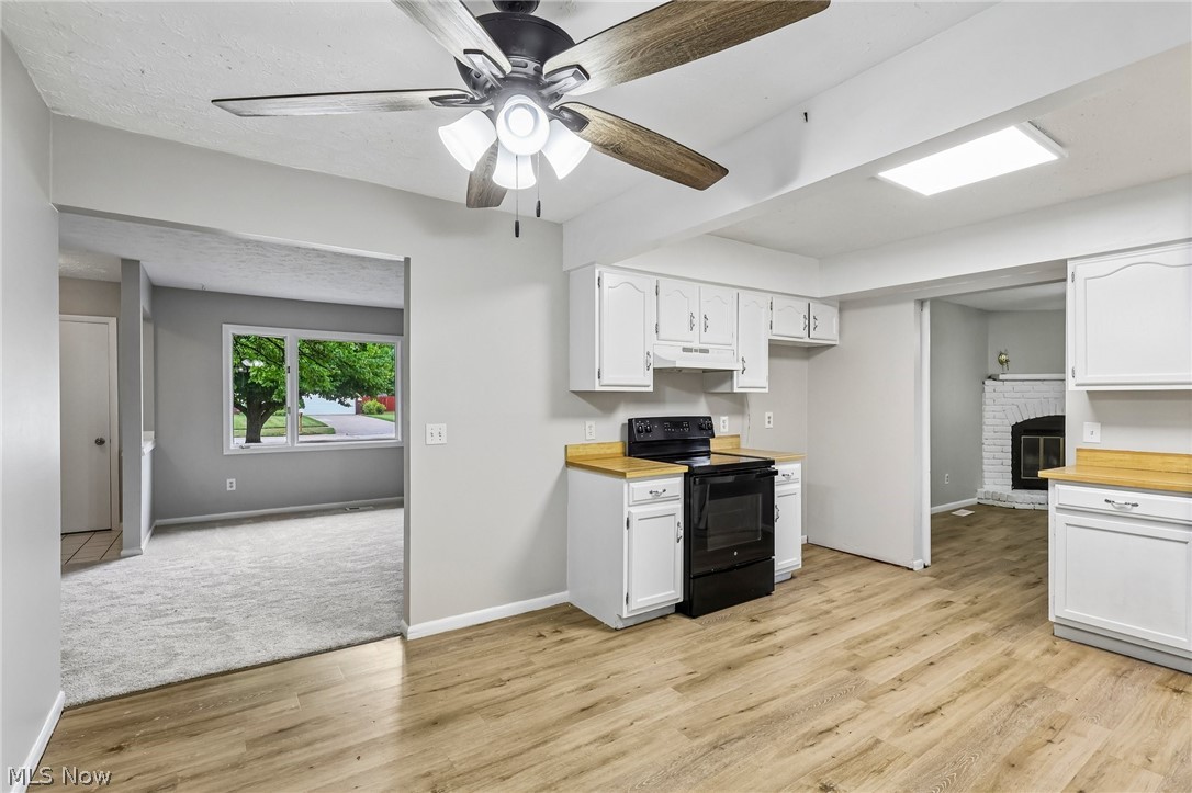 8278 Dallas Drive Mentor OH 44060