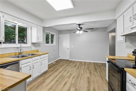 8278 Dallas Drive Mentor OH 44060