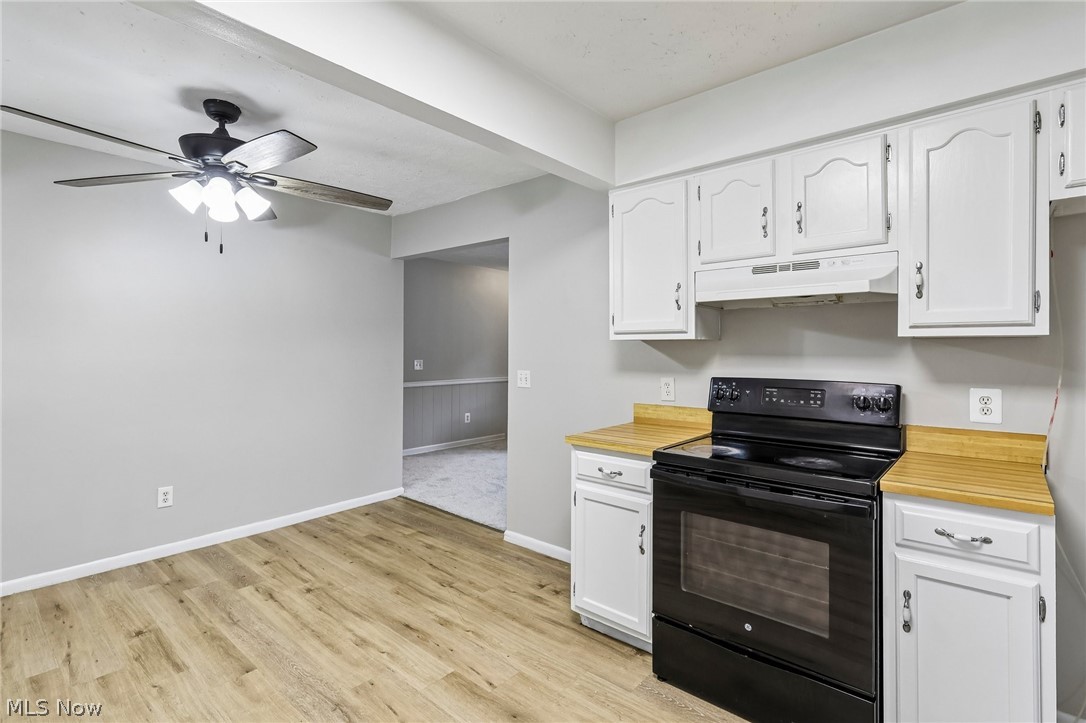 8278 Dallas Drive Mentor OH 44060