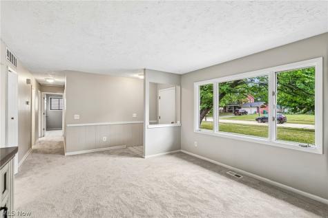 8278 Dallas Drive Mentor OH 44060