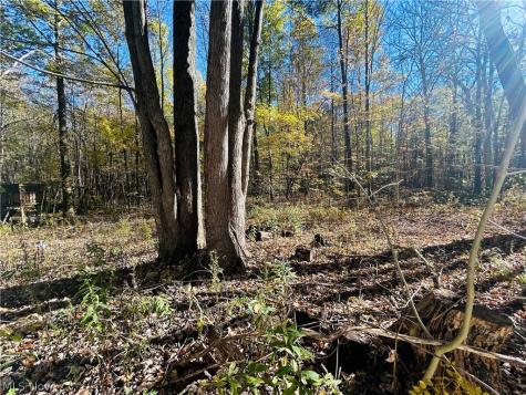12307 Honeylocust Lane Garrettsville OH 44231
