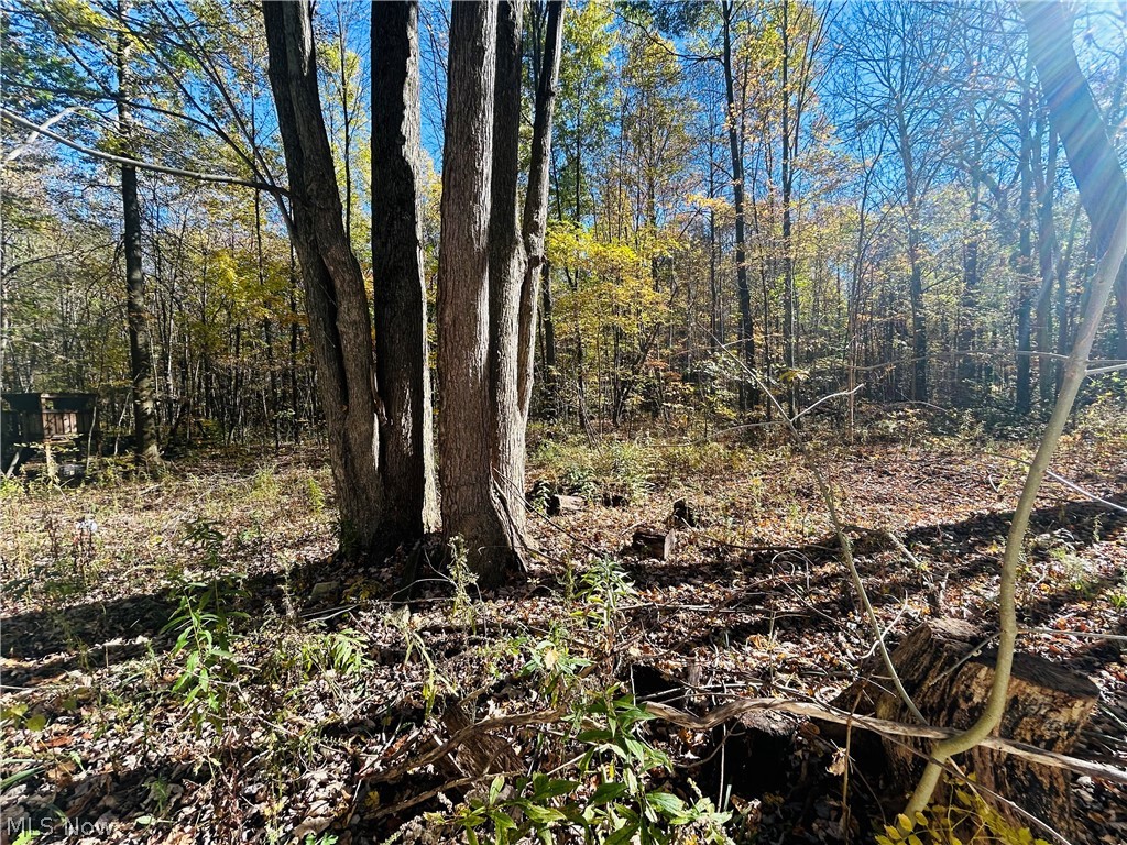 12307 Honeylocust Lane Garrettsville OH 44231
