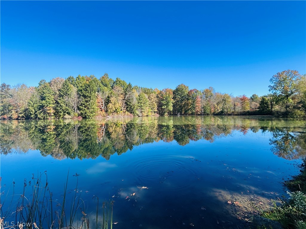 12307 Honeylocust Lane Garrettsville OH 44231