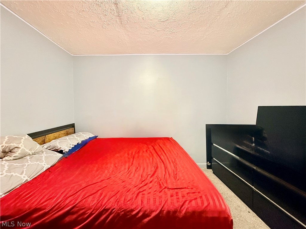 11808 Leeila Avenue Cleveland OH 44135