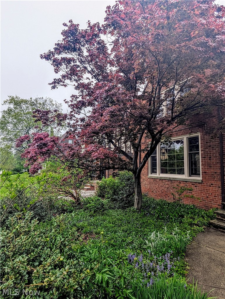 3557 Normandy Road Shaker Heights OH 44120