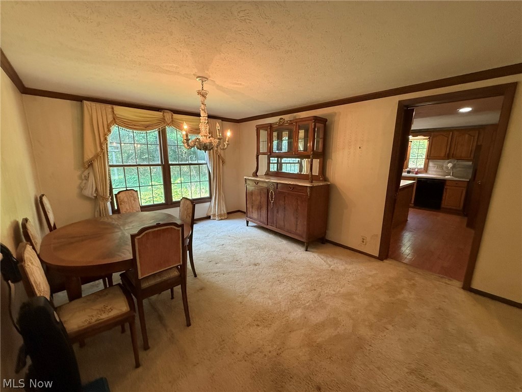 6400 Juniper Drive Amherst OH 44001