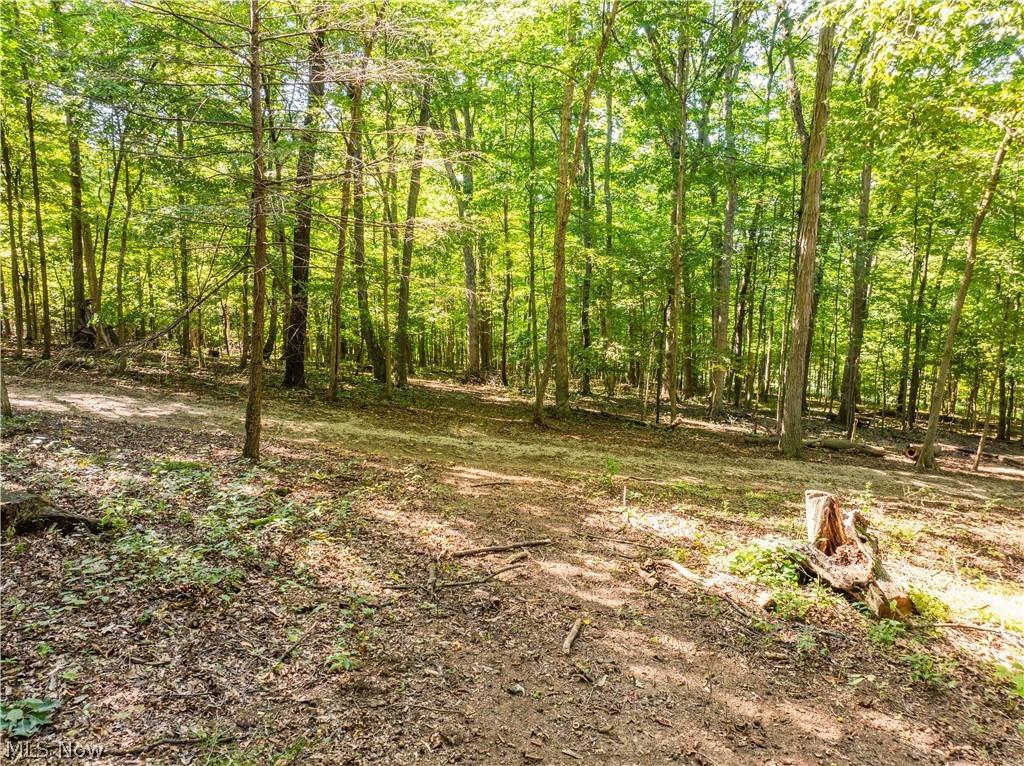 29556 Township Road 209 Coshocton OH 43812