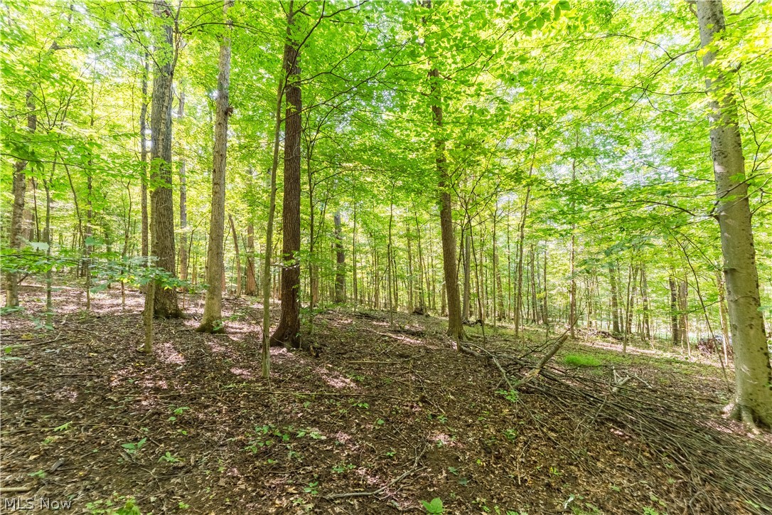 29556 Township Road 209 Coshocton OH 43812