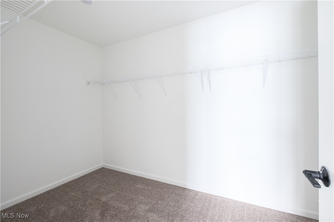 11055 David's Court Columbia Station OH 44028