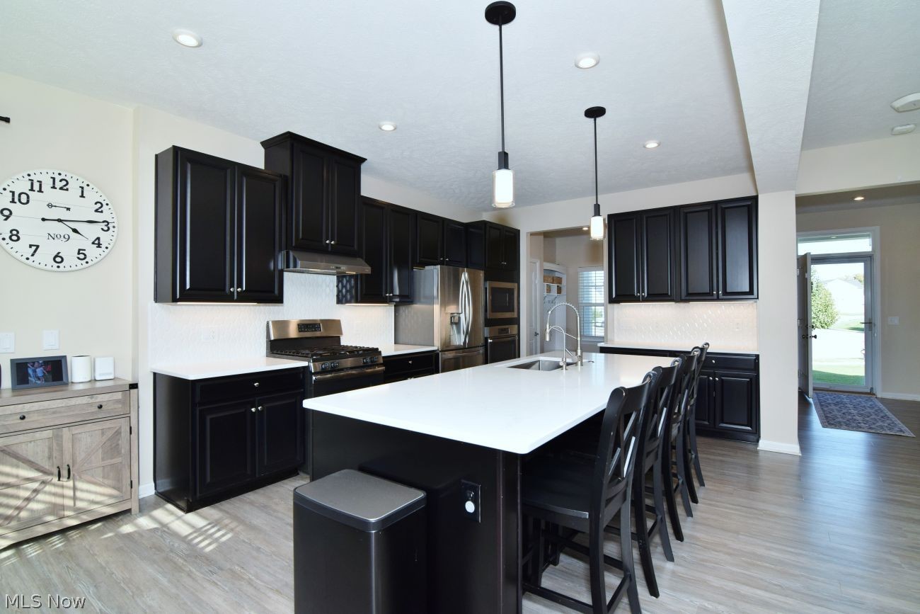 8467 Eden Court Streetsboro OH 44241