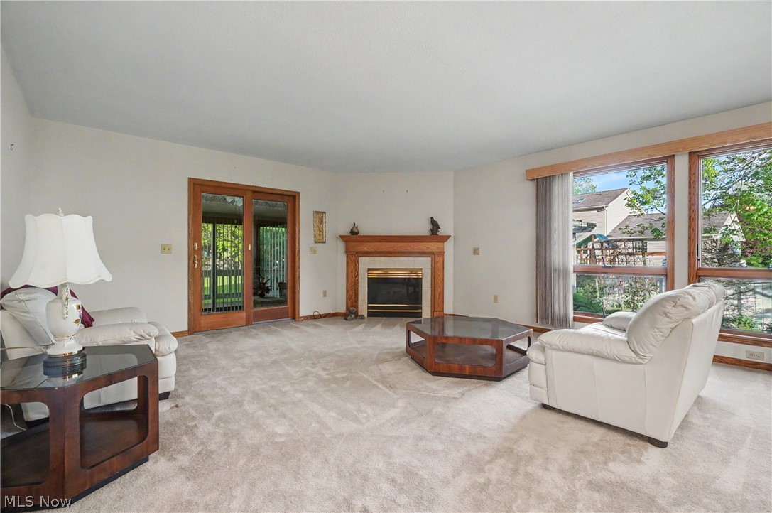 358 Tessa Place Cortland OH 44410