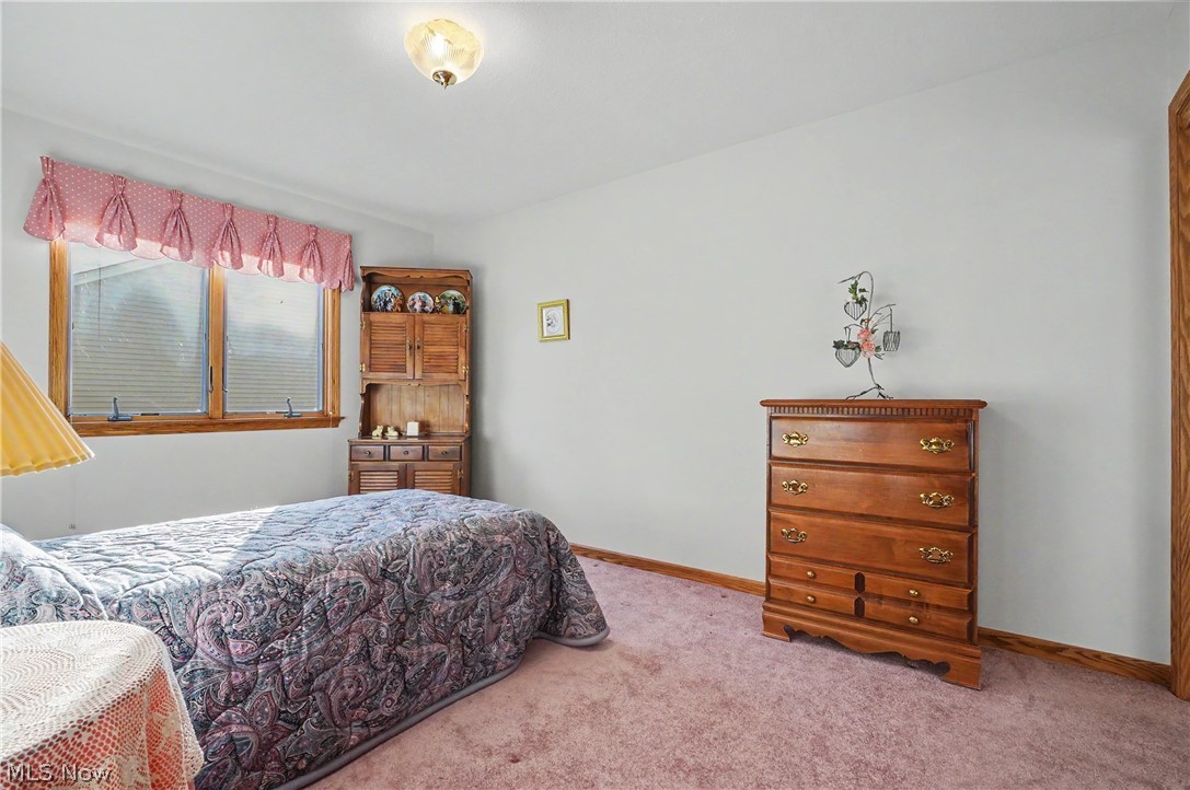 358 Tessa Place Cortland OH 44410
