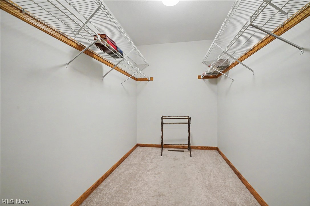 358 Tessa Place Cortland OH 44410