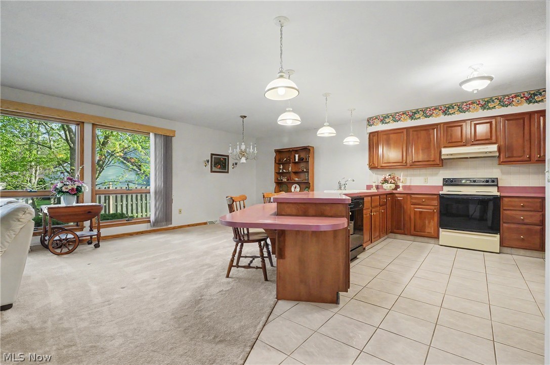 358 Tessa Place Cortland OH 44410