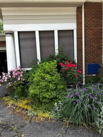 210 Storer Avenue Akron OH 44302