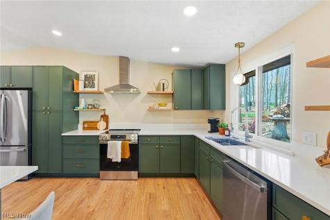 10172 Old Orchard Drive Brecksville OH 44141