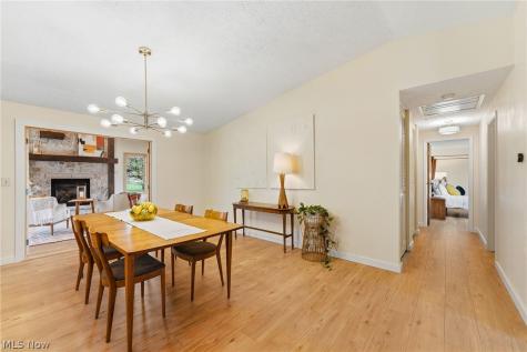 10172 Old Orchard Drive Brecksville OH 44141
