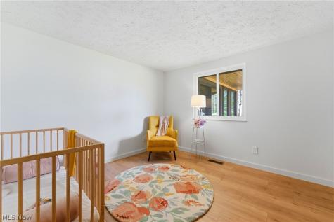 10172 Old Orchard Drive Brecksville OH 44141