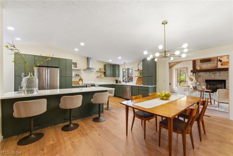 10172 Old Orchard Drive Brecksville OH 44141