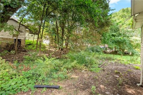 1152 Manning Avenue Akron OH 44307