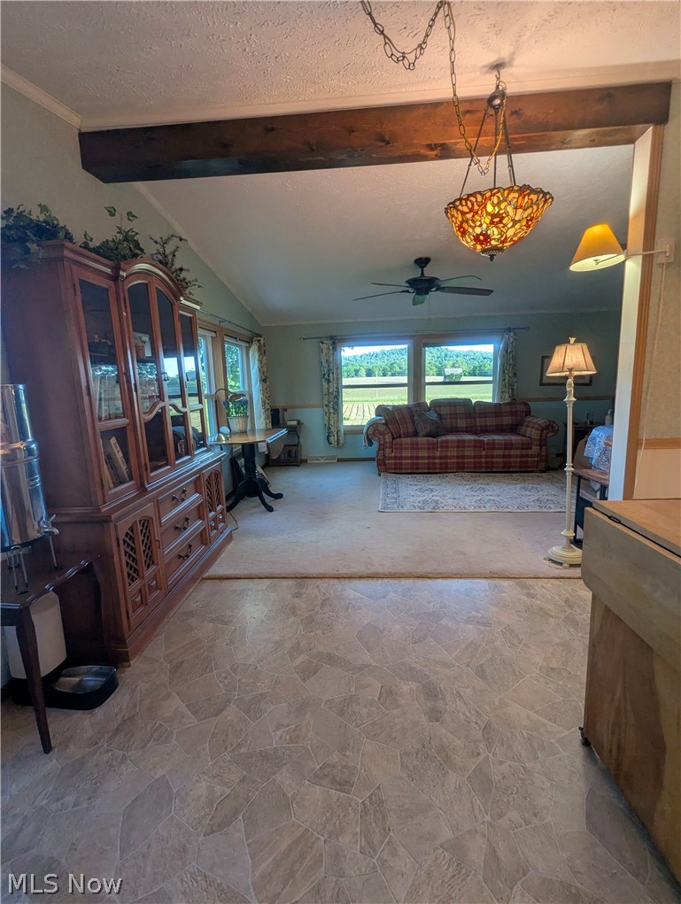 18395 Leatherwood Road Salesville OH 43778