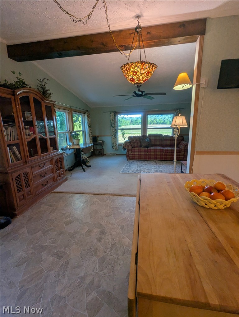 18395 Leatherwood Road Salesville OH 43778