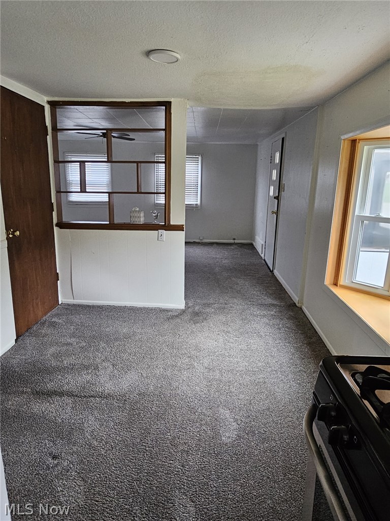 213 W Walnut Street Lowellville OH 44436