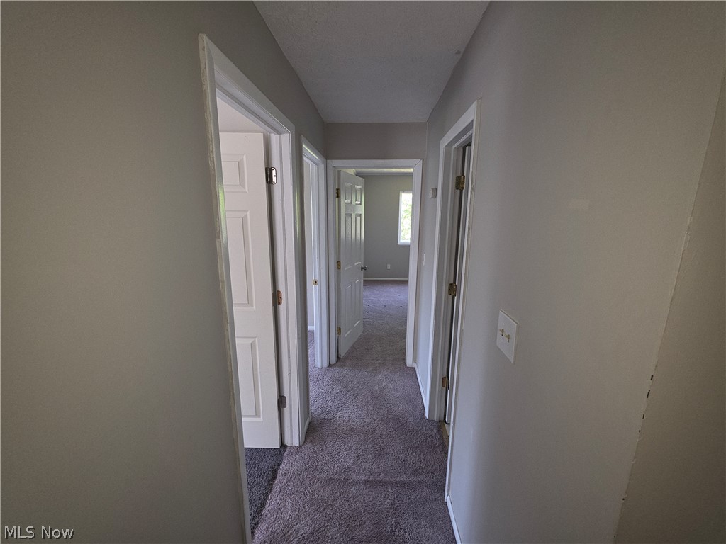 4696 W 125th Street Cleveland OH 44135