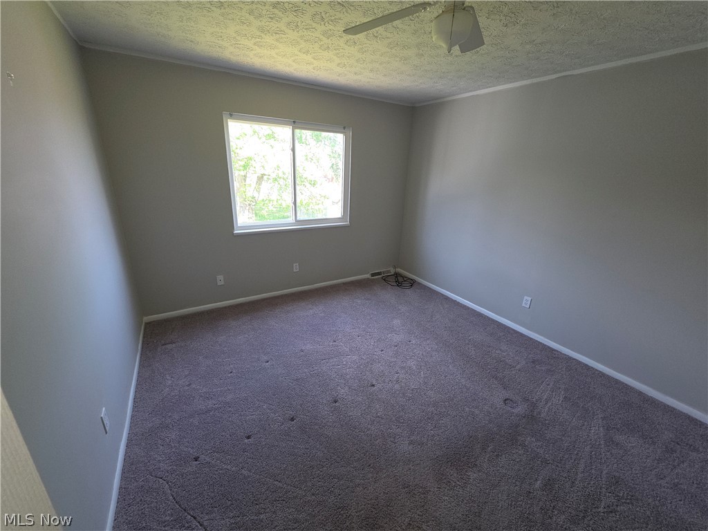 4696 W 125th Street Cleveland OH 44135
