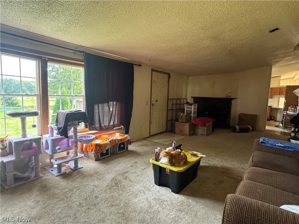 333 S Firestone Road Wooster OH 44691